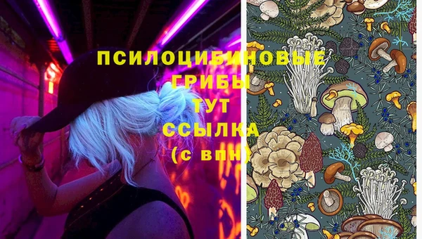 ALPHA-PVP Алексин